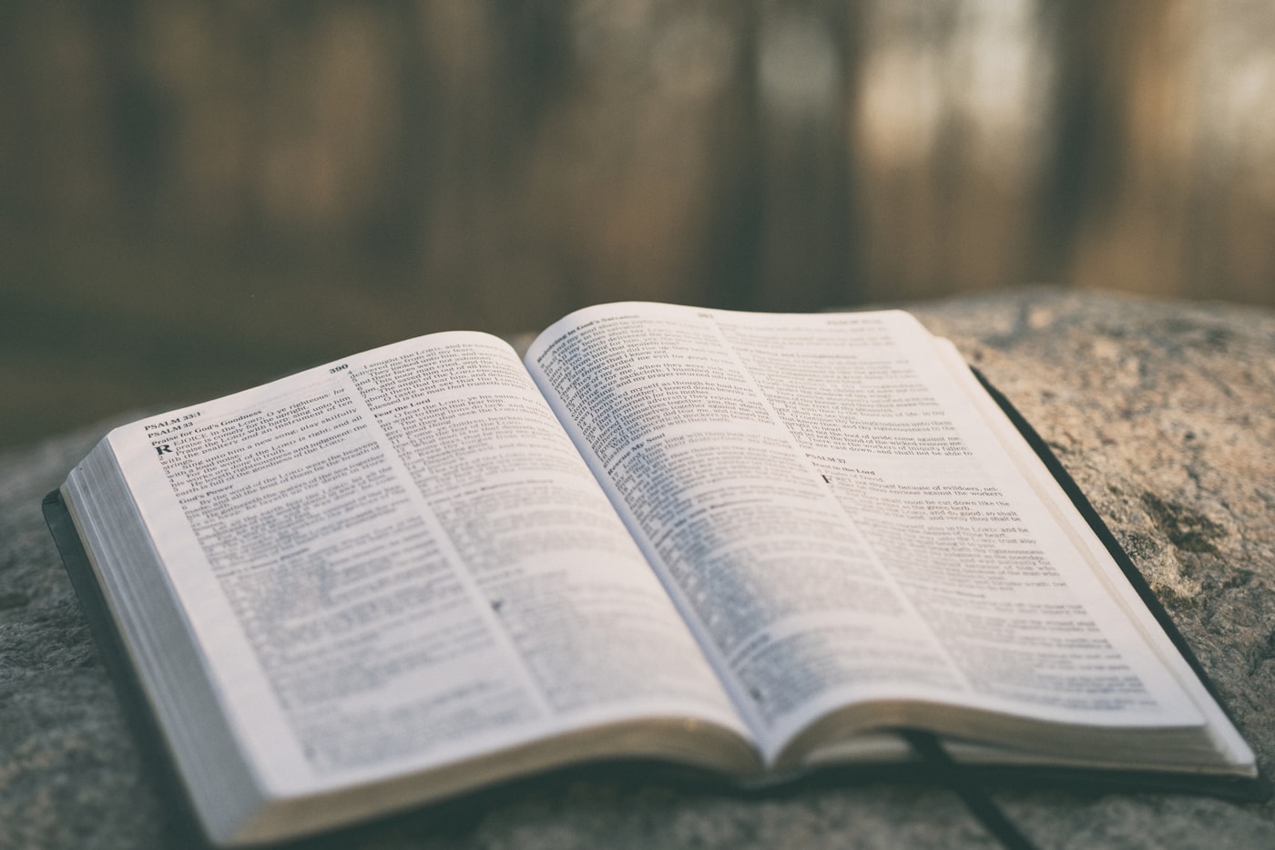 Bijbelverzen weergeven in Church Presenter